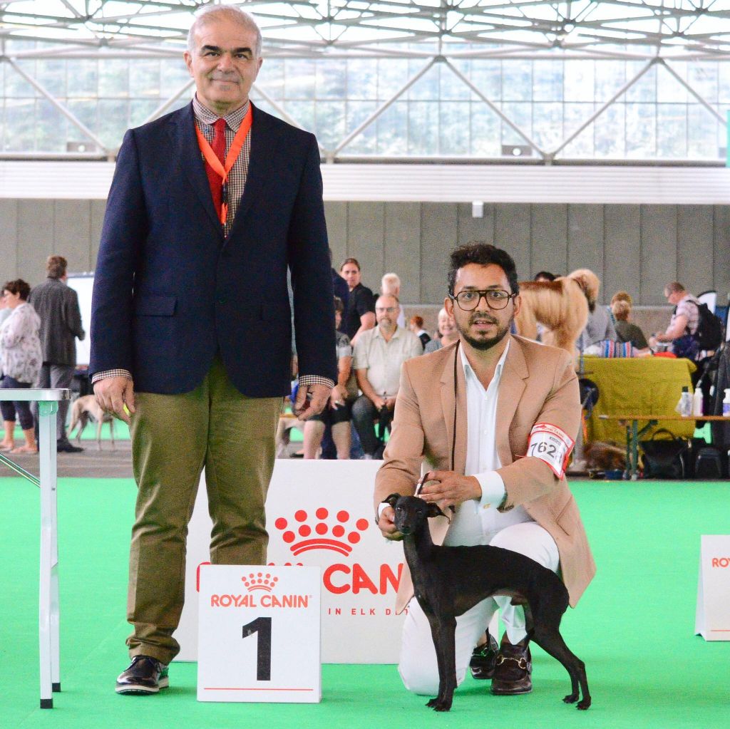 Black Baraka -  WORLD DOG SHOW 2018 