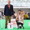  -  WORLD DOG SHOW 2018 