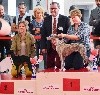  - POITIERS International Dogshow  23 Octobre