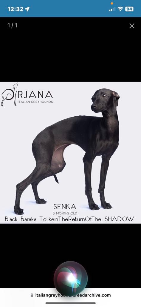 Black Baraka Tolkienthereturnofthe shadow